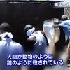 布施裕仁氏と「報道特集の南スーダン日報問題」・北沢元防衛相「 南スーダンPKOは『撤収すべき』」