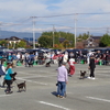 甲斐愛犬愛護会　コンテスト・ｱｲﾒｯｾ山梨駐車場にて