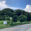 デーノタメ遺跡  北本市下石戸下
