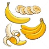 「附属小卒業生のバナナ考」