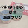 メディアでも話題！SNS映えの草津温泉プリンをお持ち帰りしてみた
