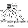 知覚像と網膜像（だと思う）