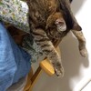 あっという間の1週間