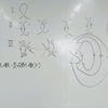 だまし絵の数理，組紐の数理（３年ゼミ）