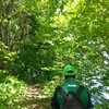 新緑を浴びる