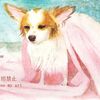 水彩画　洗われたワンコ&ねこ