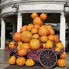 ハロウィンの東京ディズニーシー インレポ(2024/10/22) その③