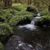 湧水流れる沢