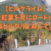 【ヒルクライム】ちょっと紅葉を見にロードバイクで乗鞍ヒルクライムしてきた2021.10 