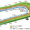 東京競馬場の特徴を知る