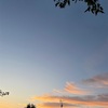 空白
