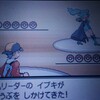 【ポケモンHGSS】ハルヤのポケモン日記21日目～フスベシティvsイブキ～