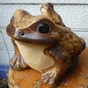 過眠で失敗・父の幻覚・不登校の子を持つ親御さんたちへ