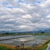 【会津に住んでいるおじさんが田植えをした話】