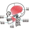 忙しい人専用！毎日、３分マッサージするだけでエラを解消する方法