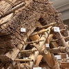 国立科学博物館・竹中大工道具館共同企画展「植物×匠　めぐるいのち、つなぐ手しごと」
