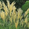 ９月です・・