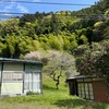 【登山】①日の出山から御岳山荘へ