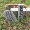【神社仏閣】宮島八幡宮（浮島八幡宮）跡 in 徳島県阿波市善入寺島（旧粟島）