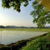 藤岡、初夏の田園夕景（栃木県栃木市藤岡）