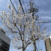 寒い！入社式なのに。2025