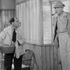 ぼくの伯父さんの休暇(1953)