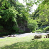 宮城県　無料キャンプ場　三滝堂ふれあい公園