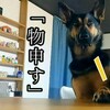 人間以下の「犬神人」の私から愛を込めて