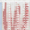 新型コロナウイルス、国別・人口あたり新規感染者数（9月22日現在） /  COVID-19 cases per population by country, as of September 22