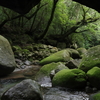 「洞穴より」 with a PENTAX K-3 MarkⅢ / 屋久島風景写真