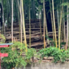 瓢箪山稲荷神社の御朱印！地元の人に愛される神社の魅力