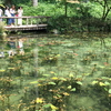 予想以上の美しさ！通称・モネの池「名もなき池」根道神社と、五郎丸ポーズの仏像　岐阜県関市