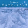 その泡をもっと細かくするだけで雲泥の差という話
