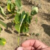 季節の変化は常ならず