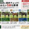 【キャロット2026】募集開始前に最終チェック！申し込みたい5頭を厳選