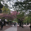 東京観光気分を味わおう:靖国神社