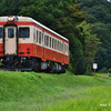 【いすみ鉄道】曼珠沙華。