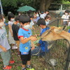 ７／１４　１年生　移動動物園