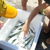 銚子で海釣り！