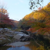 【嵐山町】紅葉の嵐山渓谷