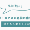 カブスの名前の由来は？シカゴ・カブスの隠された魅力をご紹介！