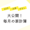 20代夫婦：気になる毎月の家計簿って？