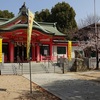 こんな花見も「菜の花」