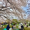 播磨坂のさくらまつりと小石川植物園