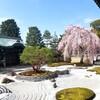 【京都】『高台寺』に行ってきました。 京都旅行 京都観光 国内旅行 京都桜