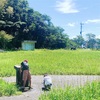 汗だくで駆け回れ！子供の夏休みを満喫！