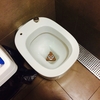 きれい好き日本人は我慢できない？！ヨーロッパのトイレ事情