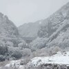 雪の裾花渓谷をみる