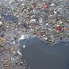 ある種の適応進化か？世界中の陸と海の微生物がプラスチックを分解する能力を手に入れつつある