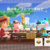 【あつ森　ハピパラ】クロコさまの別荘作り